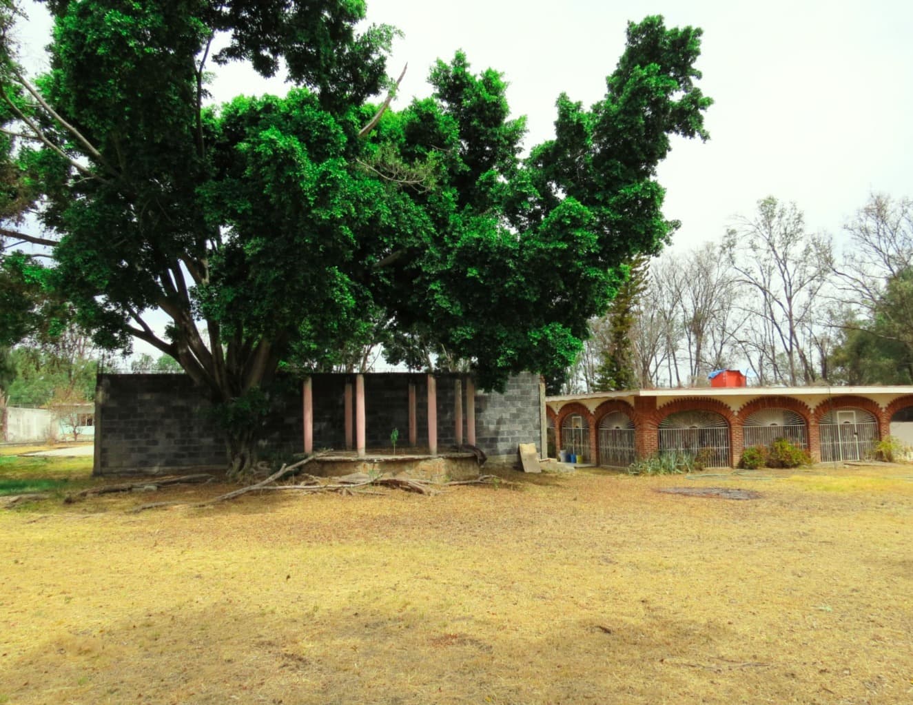 image-3