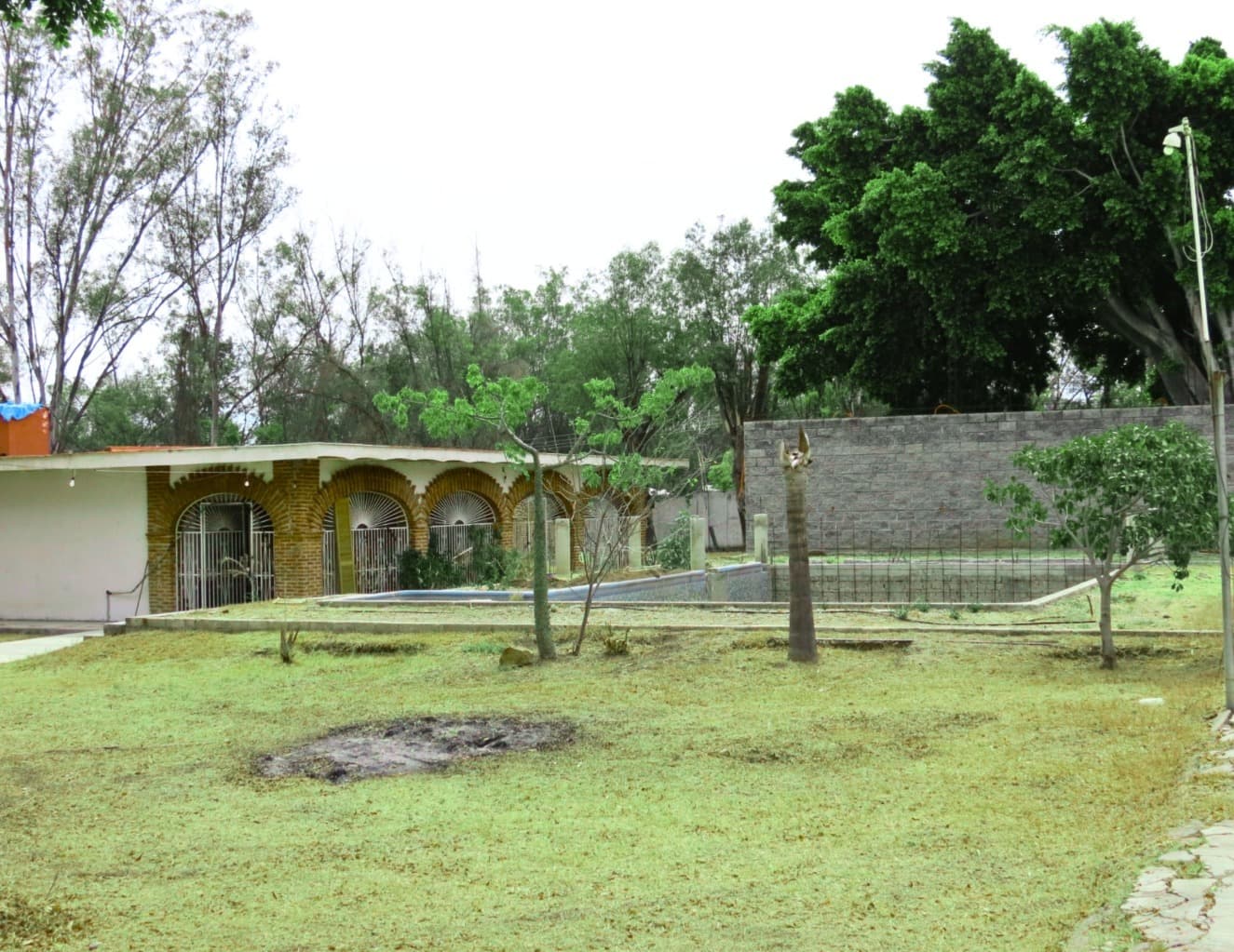 image-4