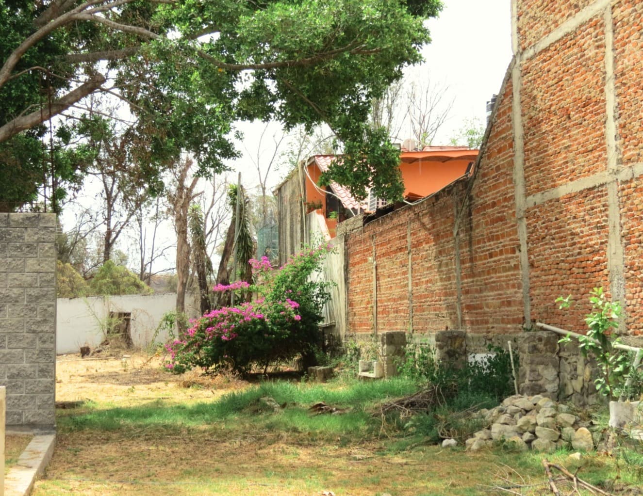 image-9