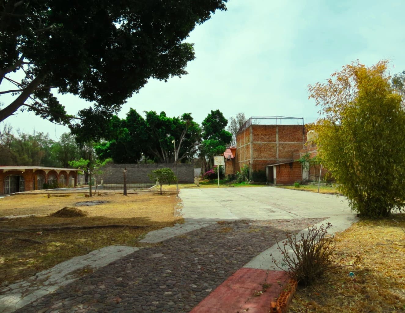 image-11