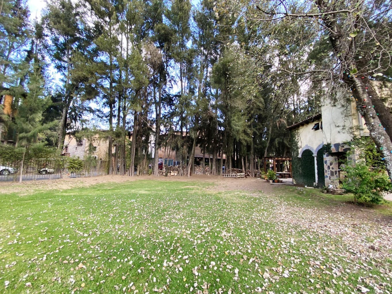 image-18
