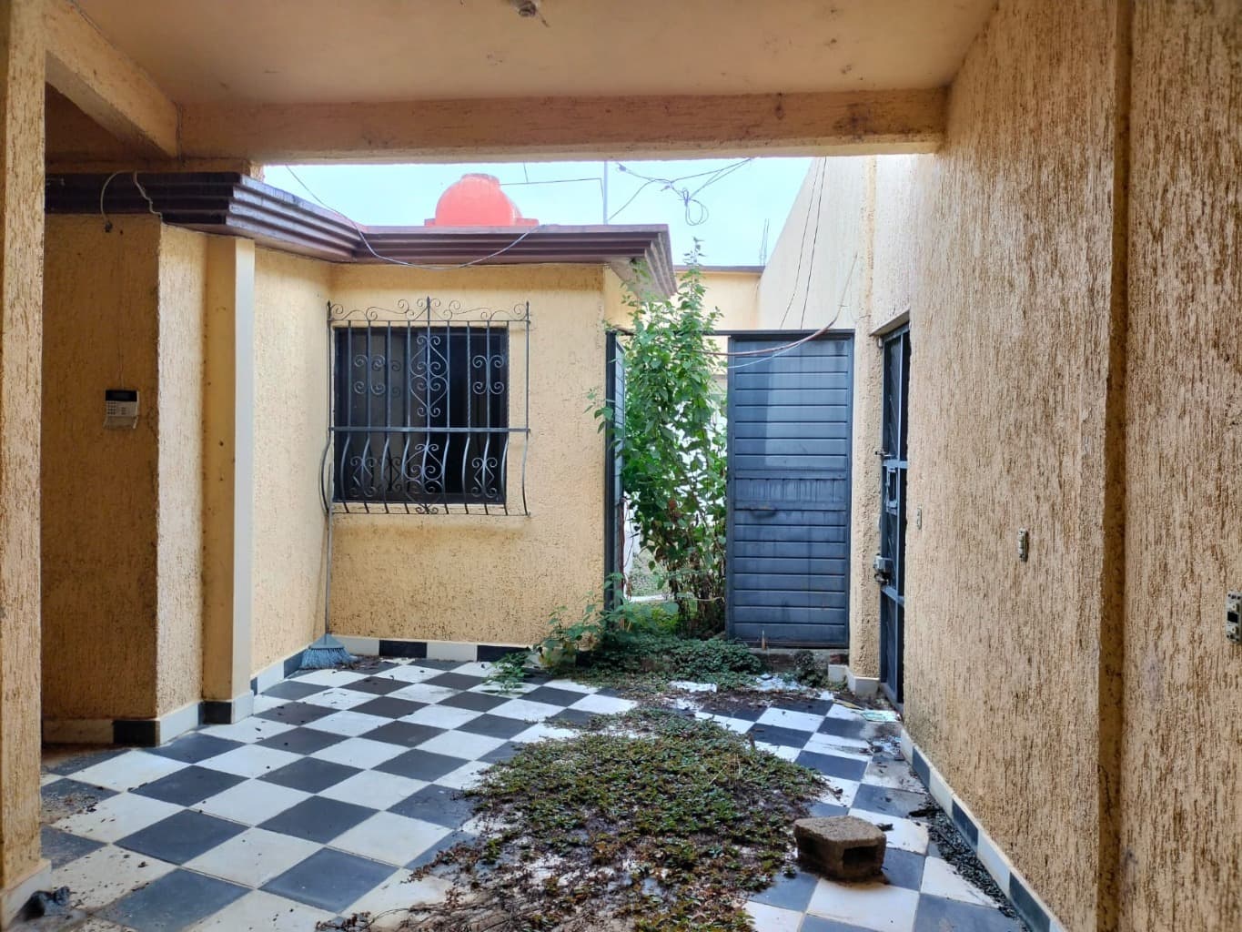 image-5
