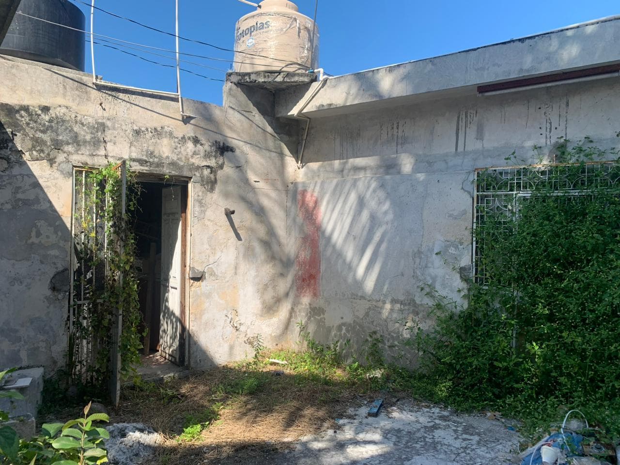 image-8