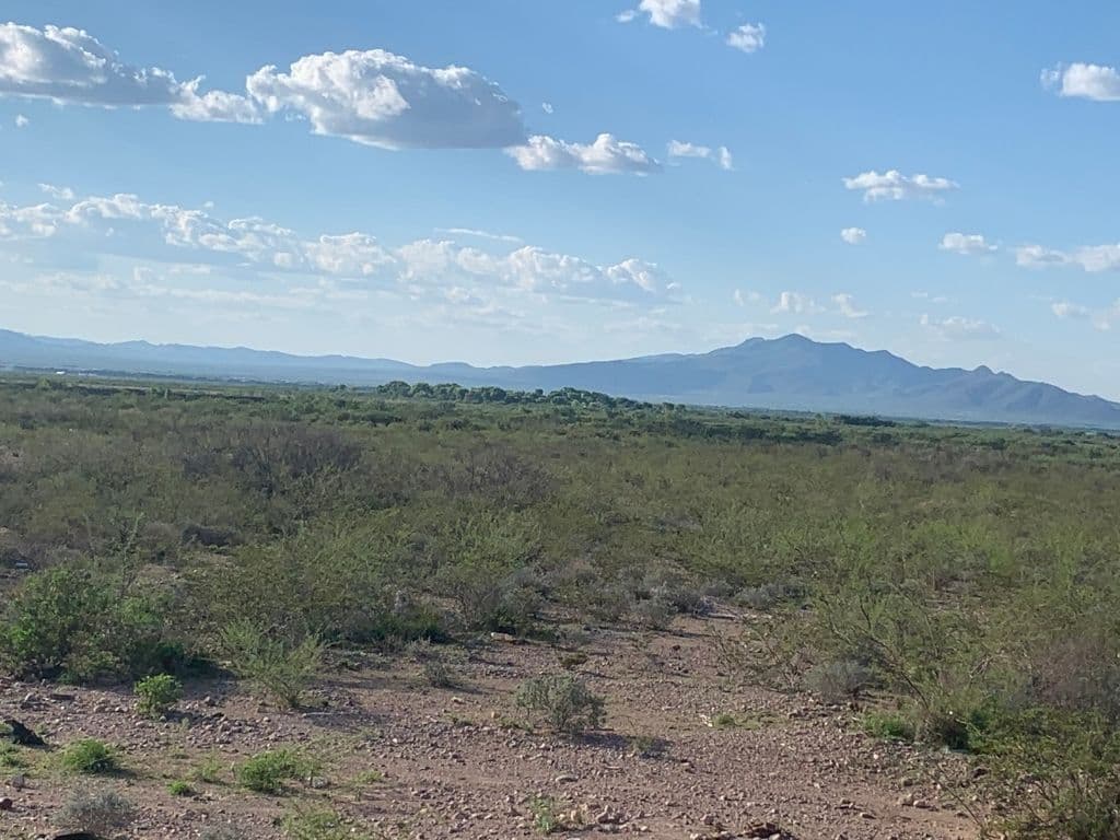 image-18