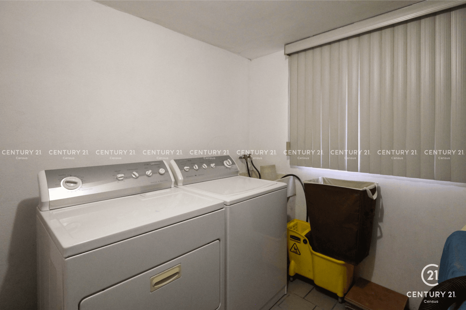 image-19