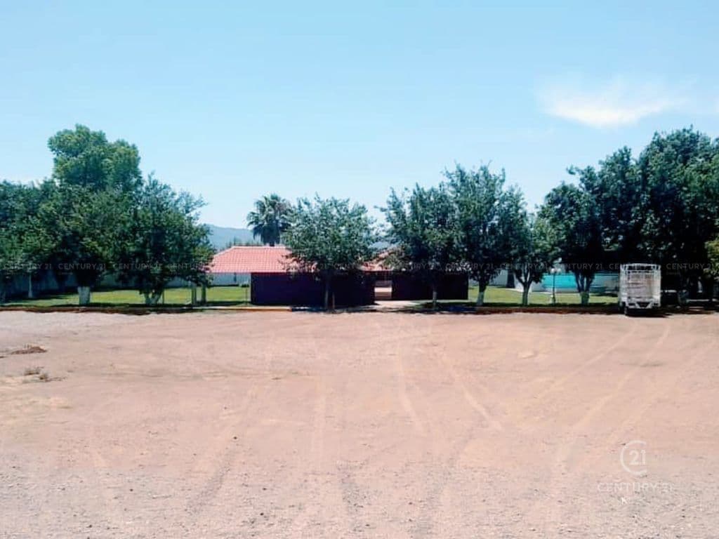 image-0