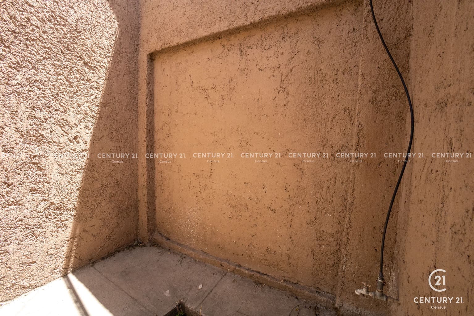 image-19