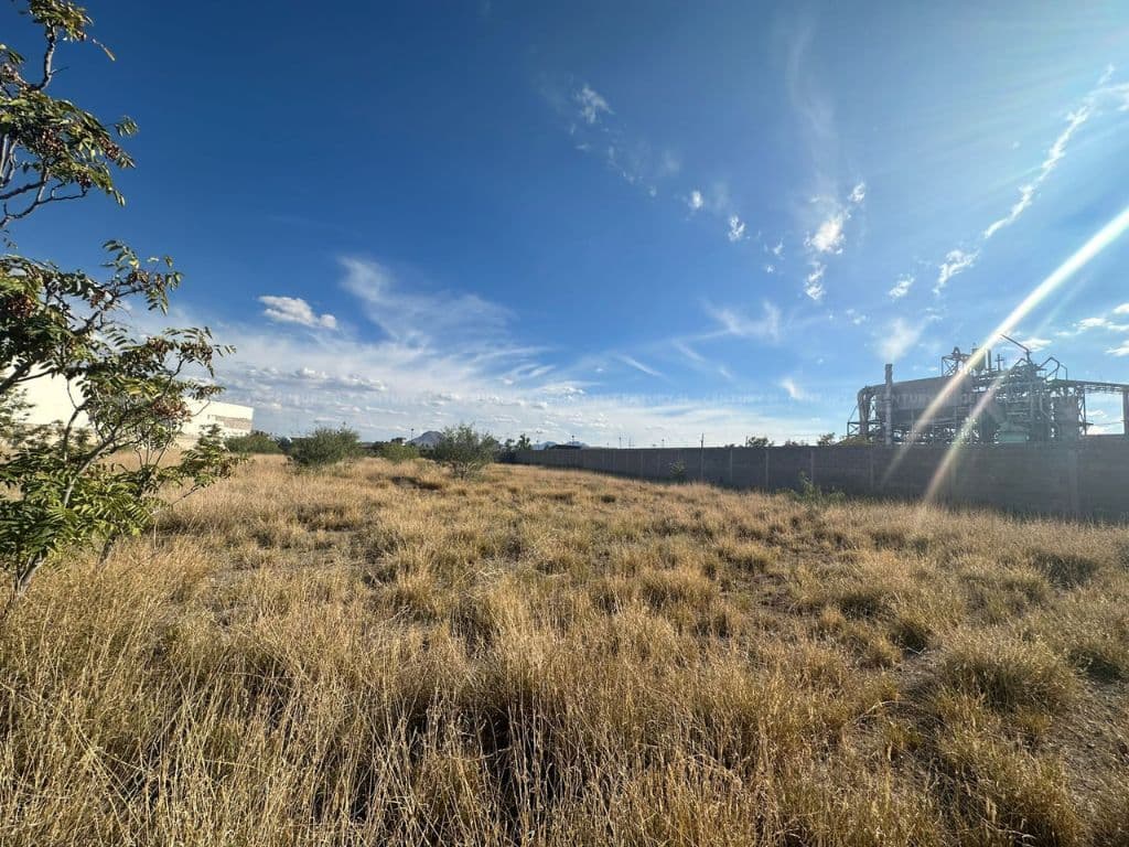 image-4