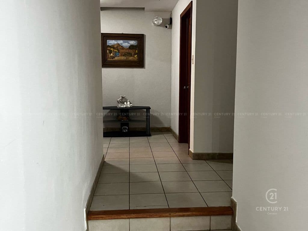 image-20