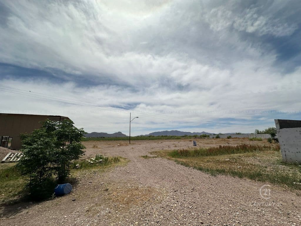 image-9