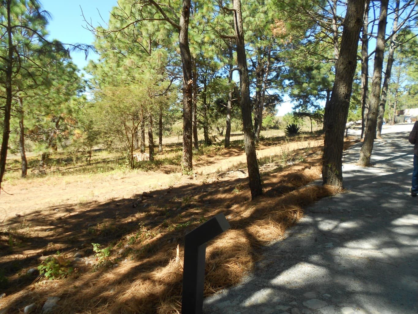 image-3