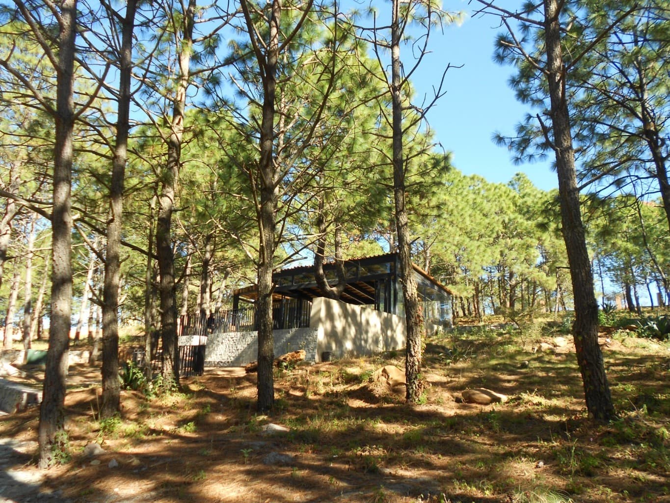 image-4