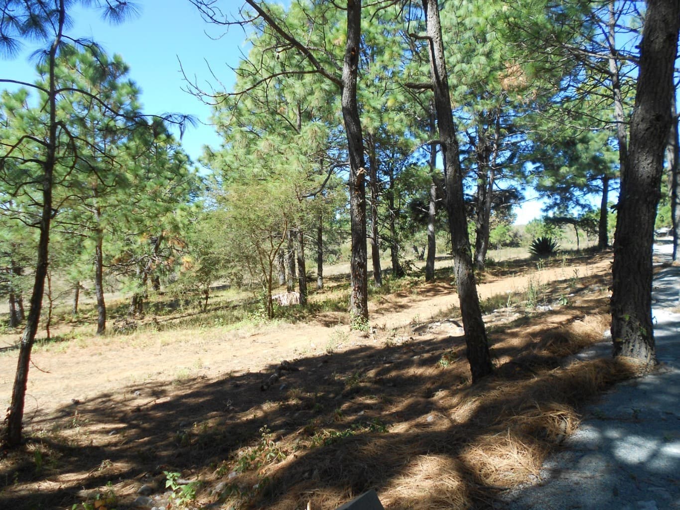 image-9