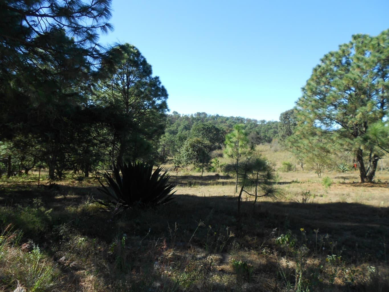 image-15