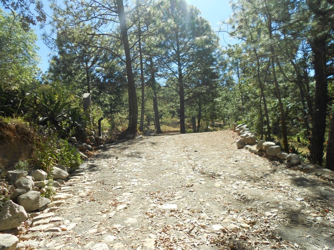 image-19