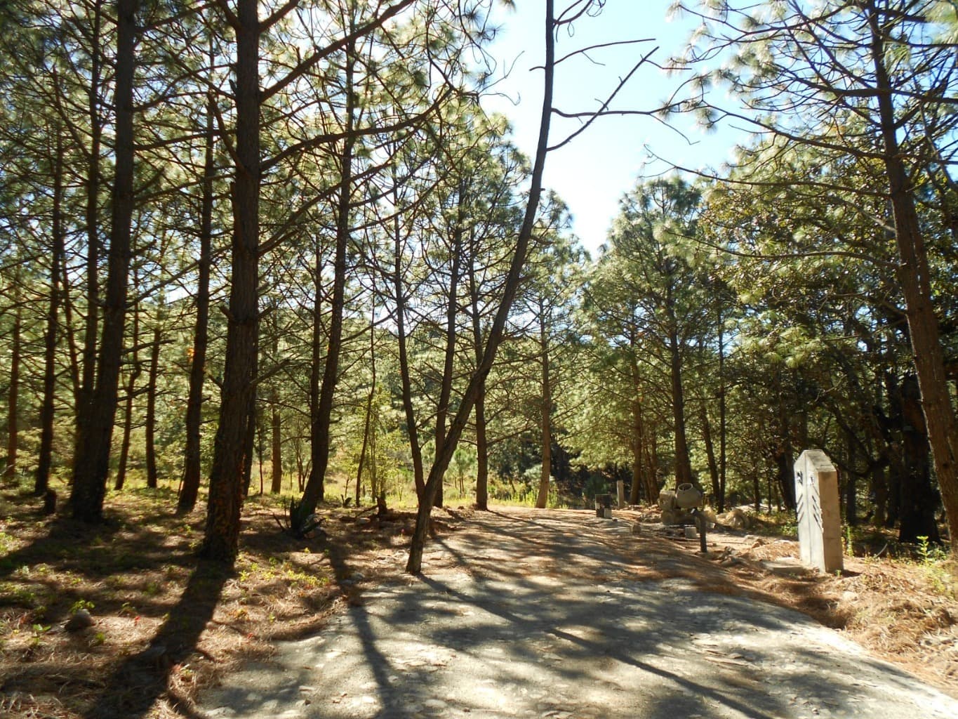 image-0
