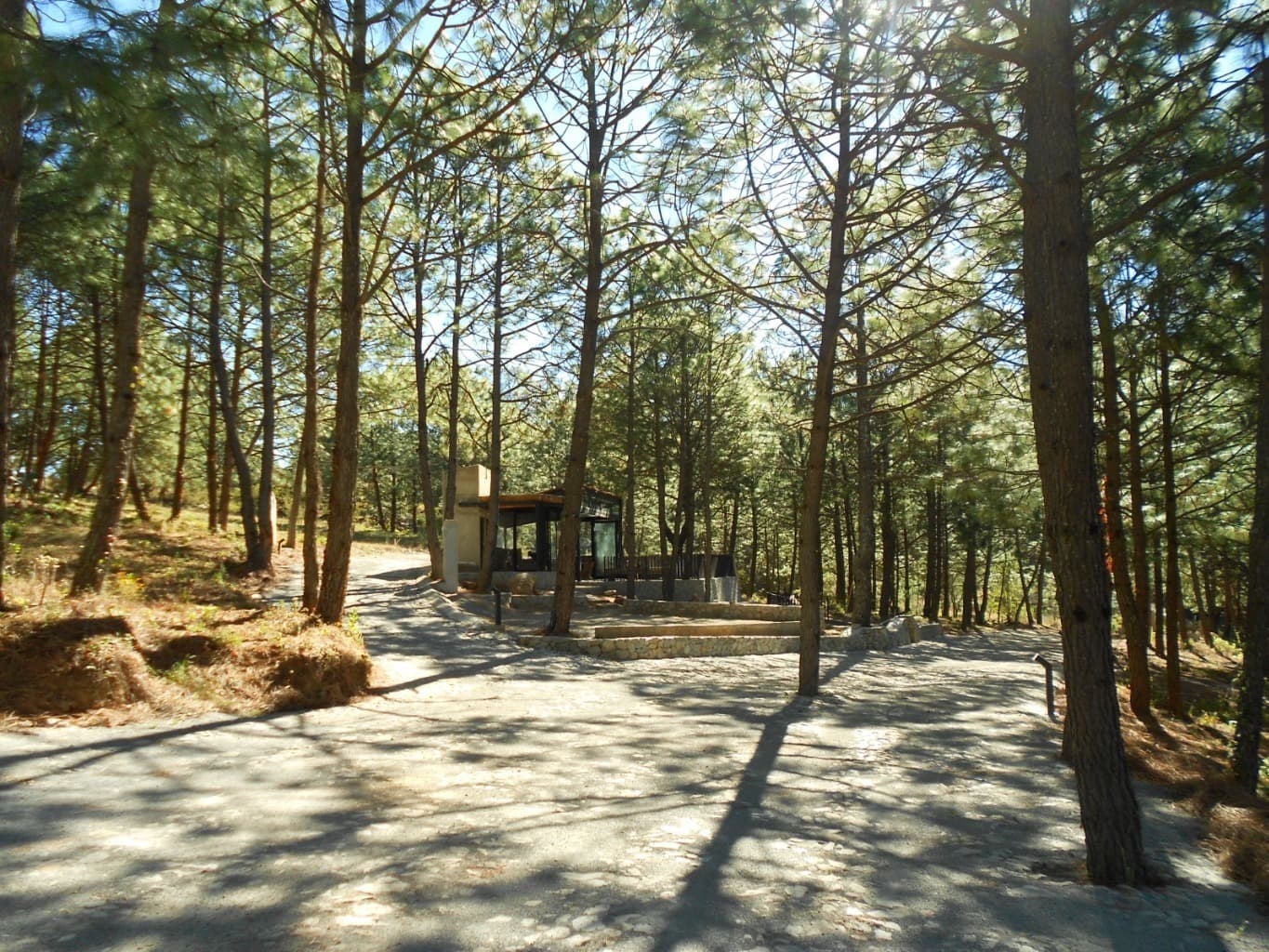 image-8
