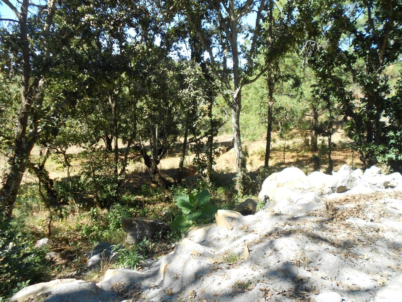 image-16