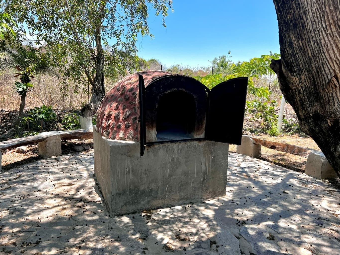 image-10