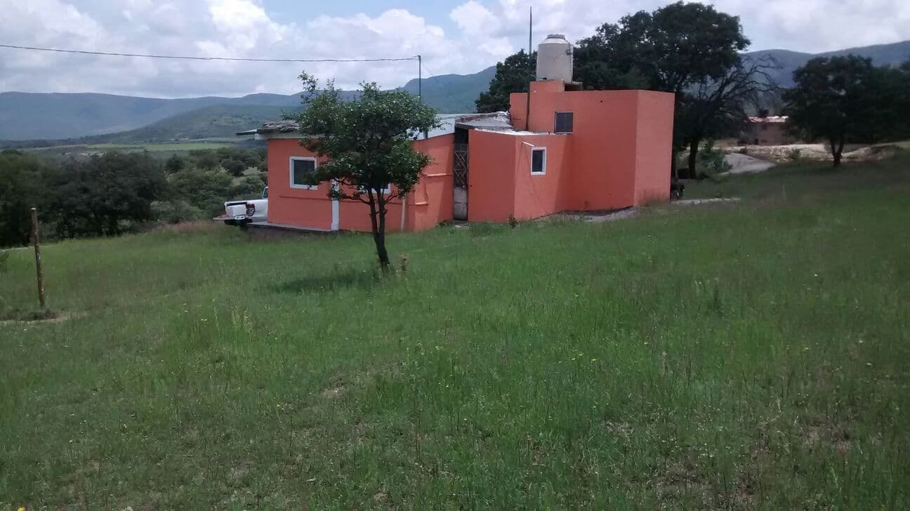 image-0