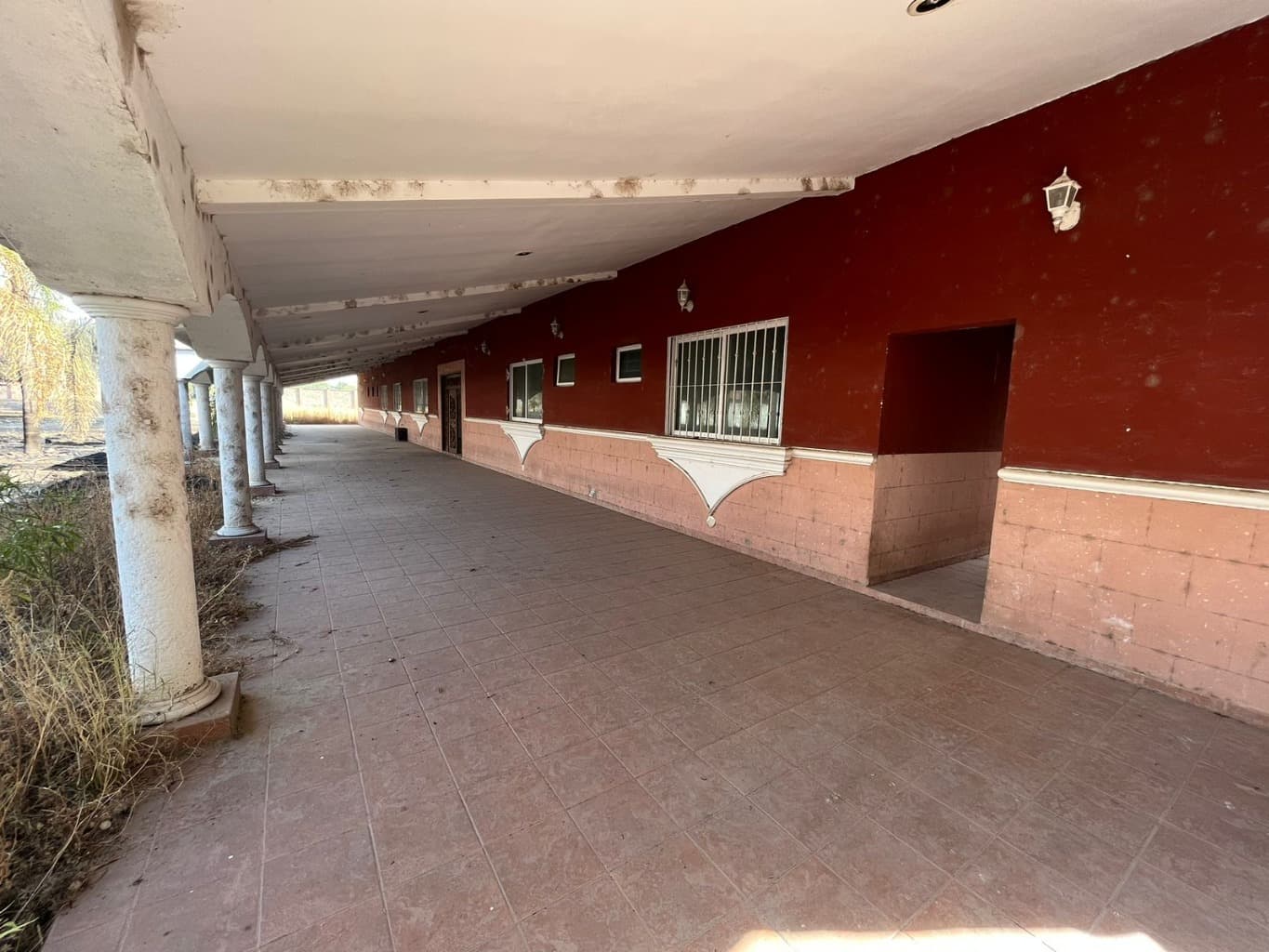 image-8