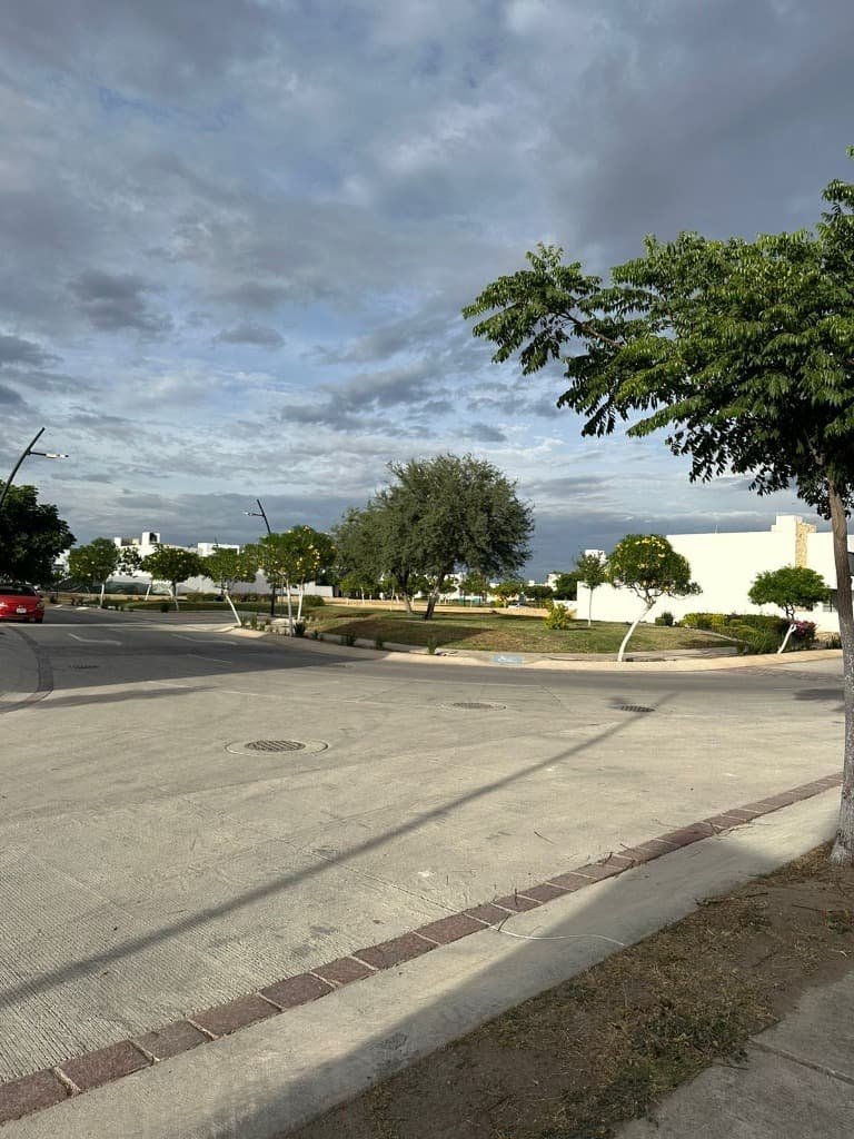 image-5