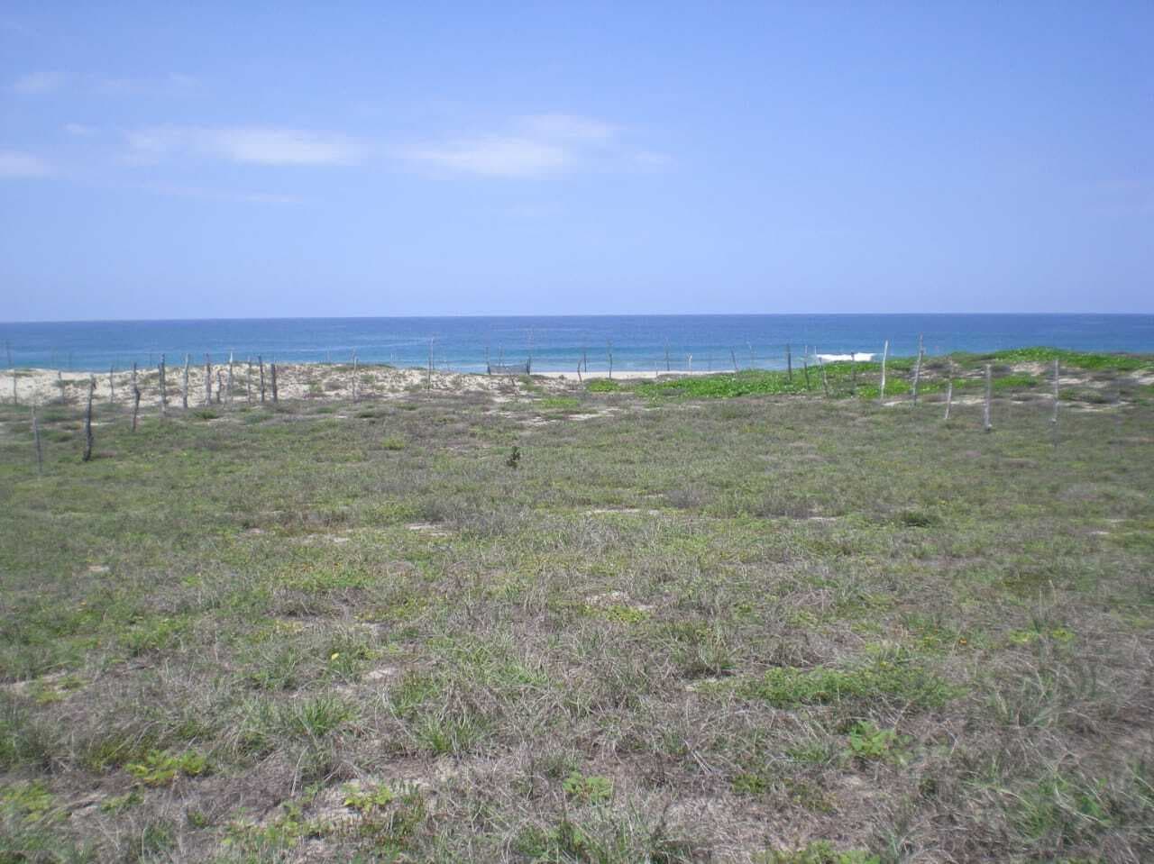 image-0