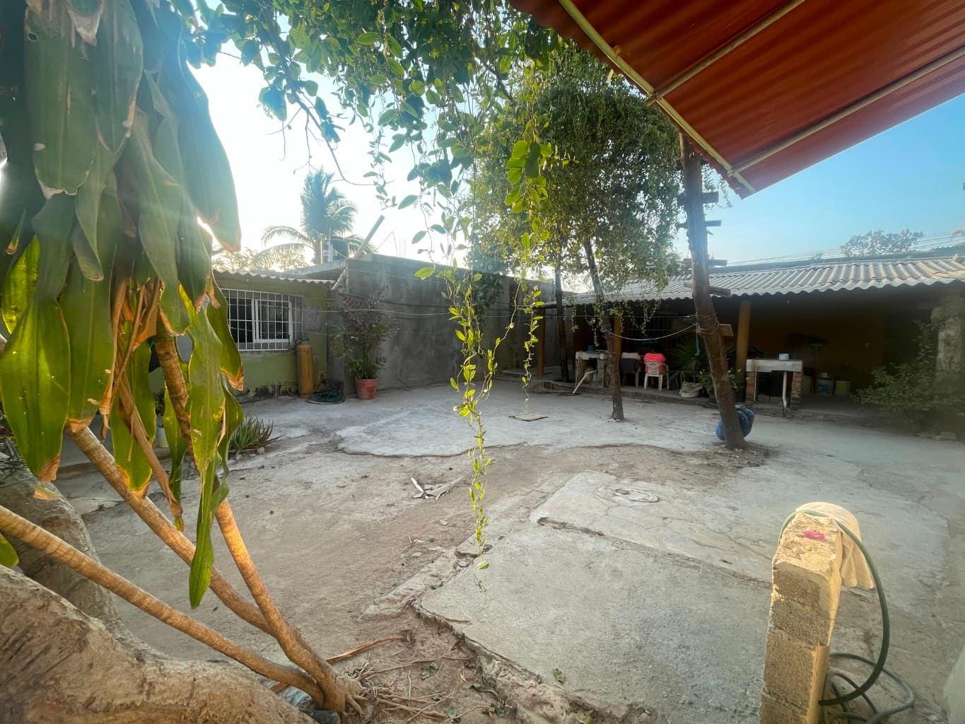 image-3