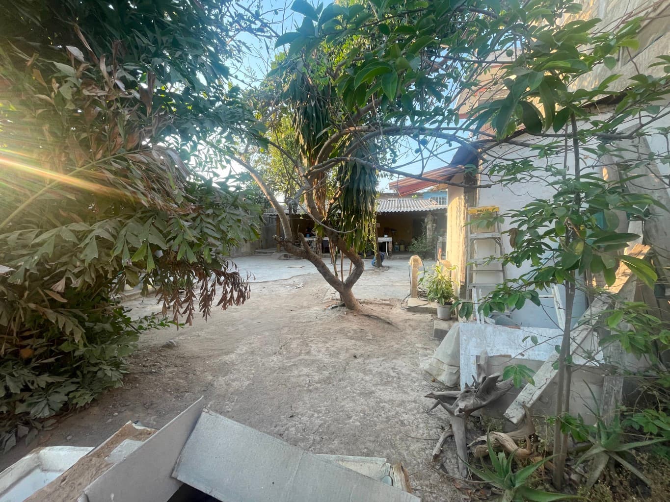 image-6
