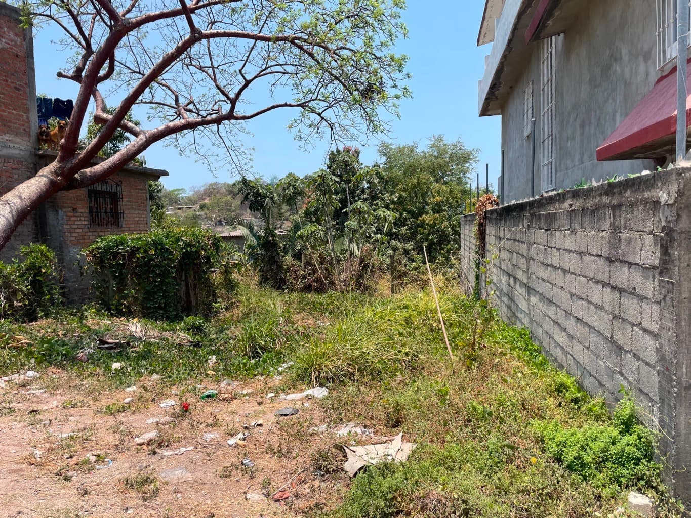image-4