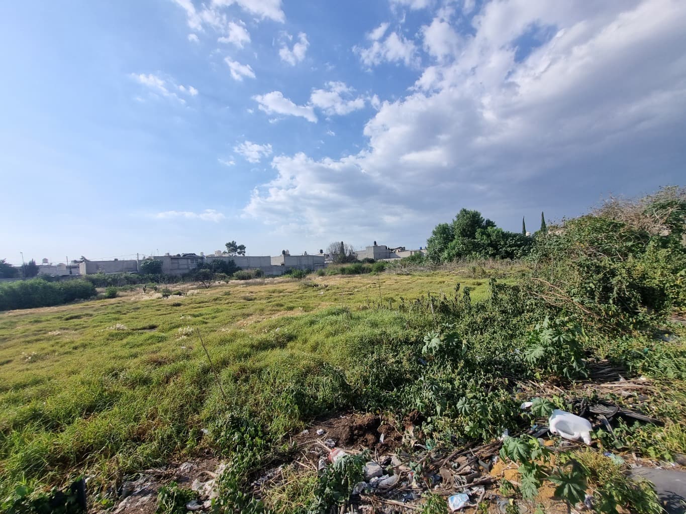 image-20