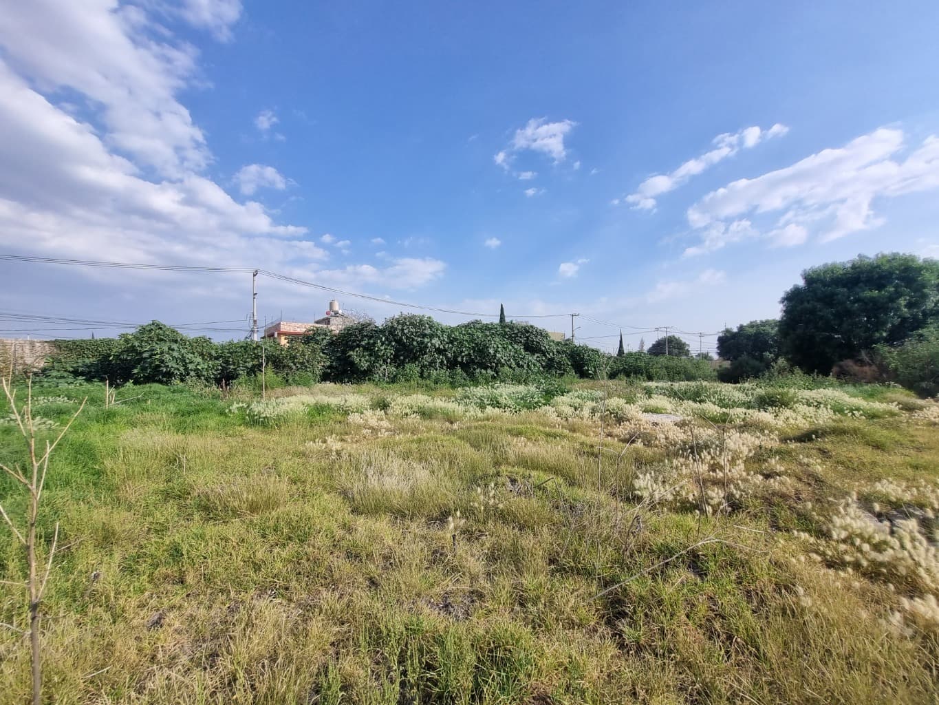 image-25