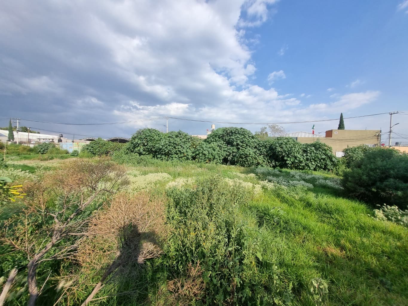 image-28