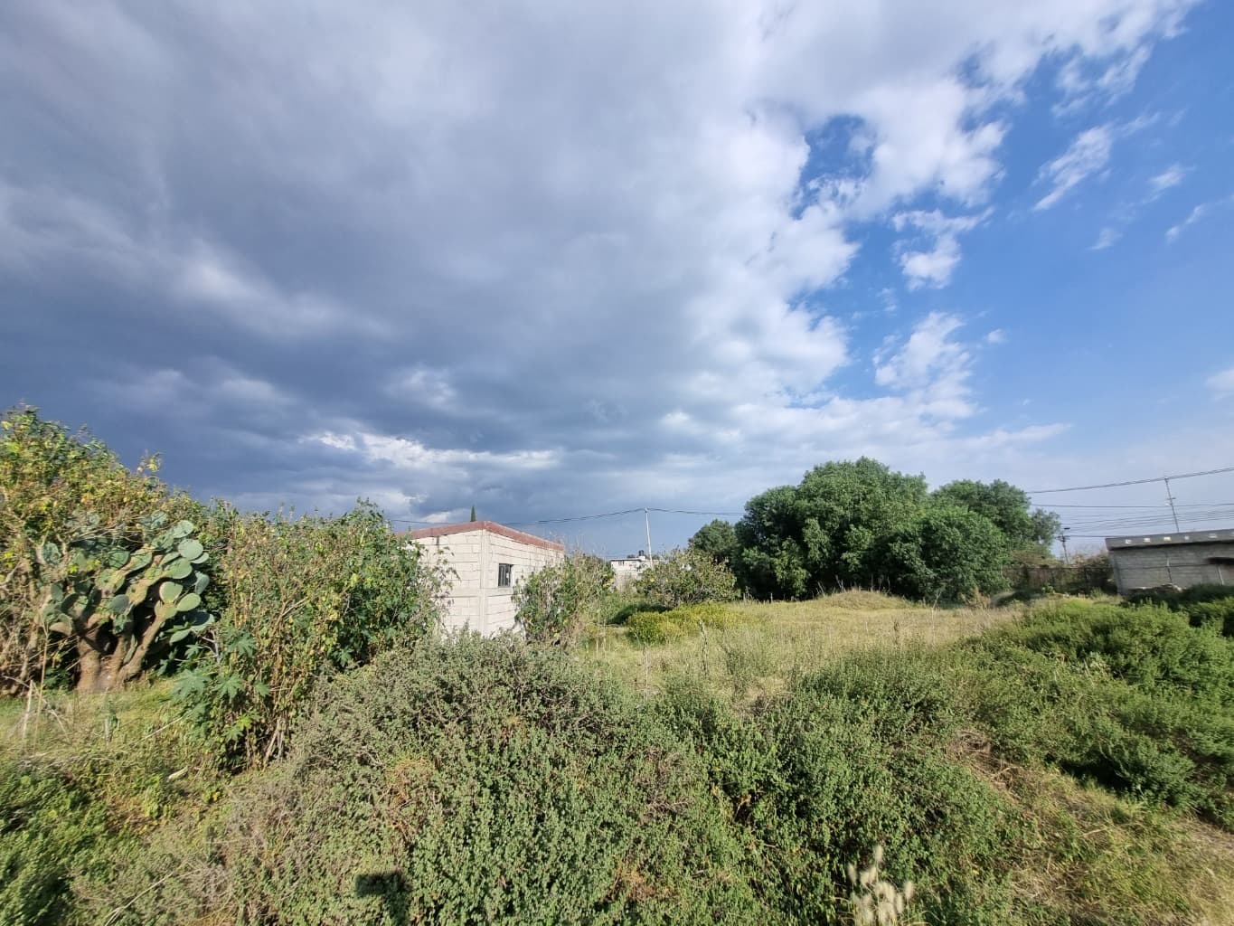 image-69