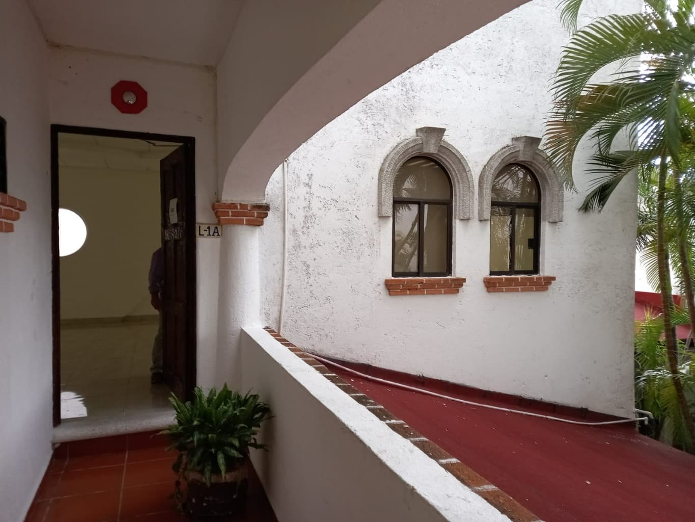 image-19
