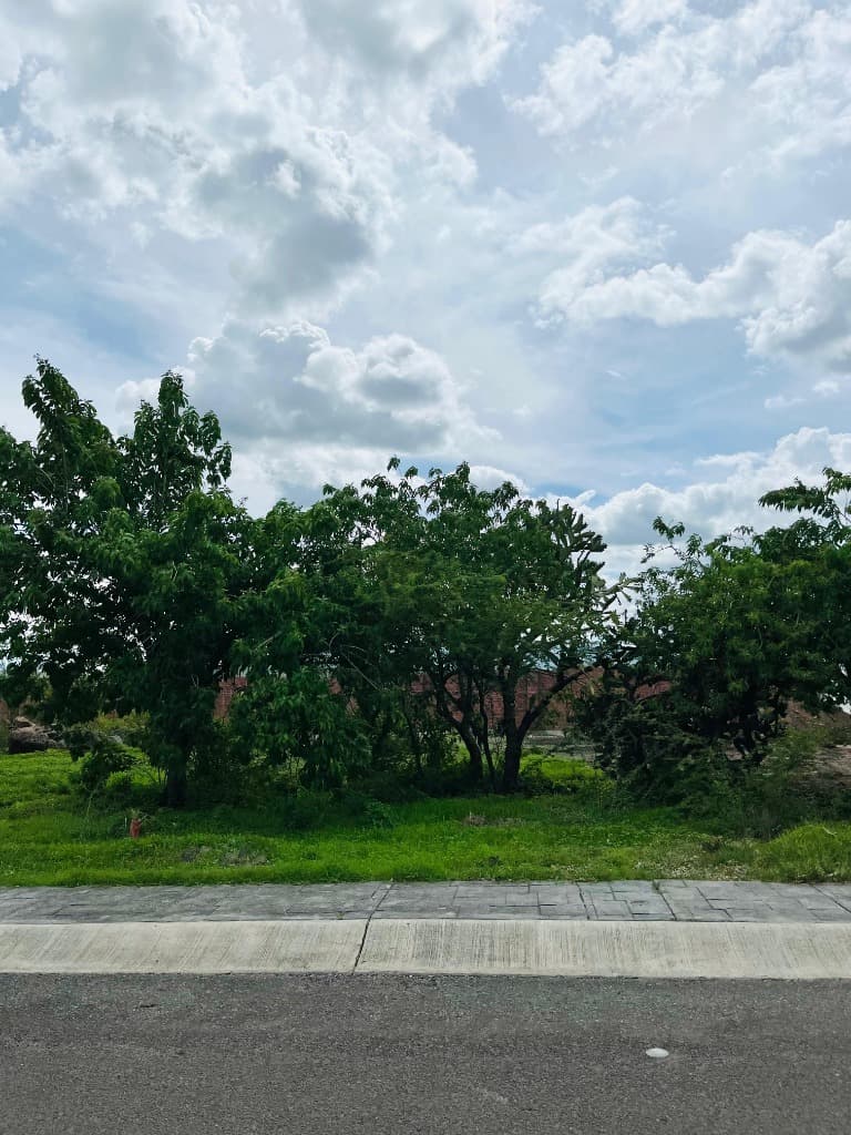 image-3