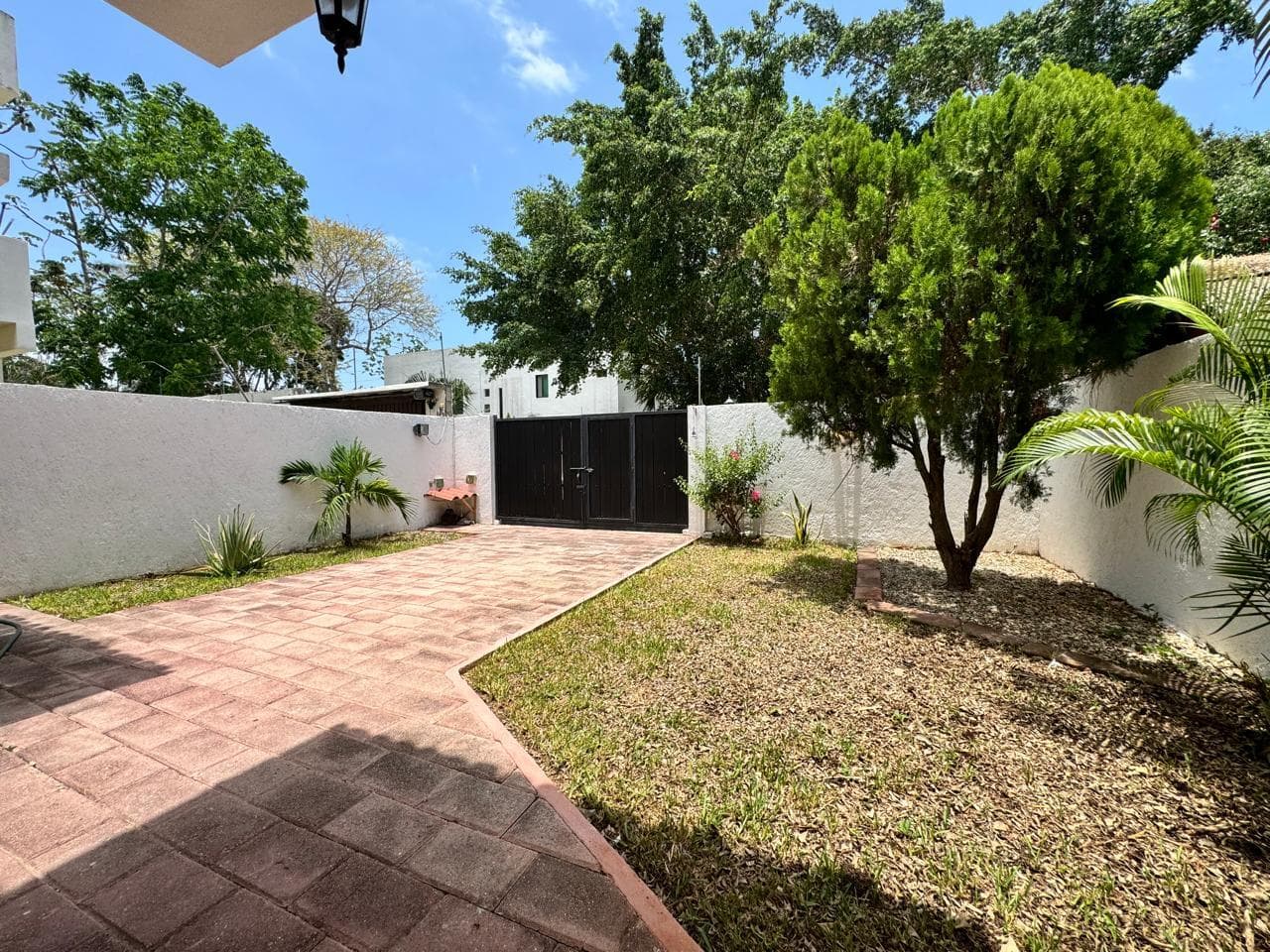 image-19
