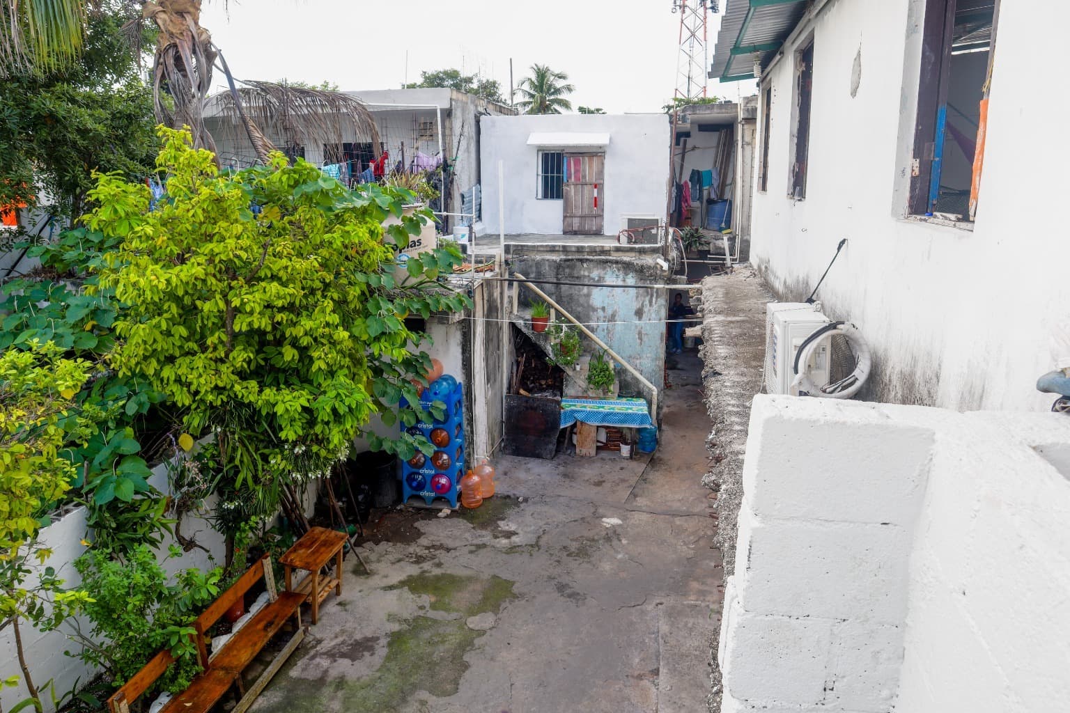 image-2
