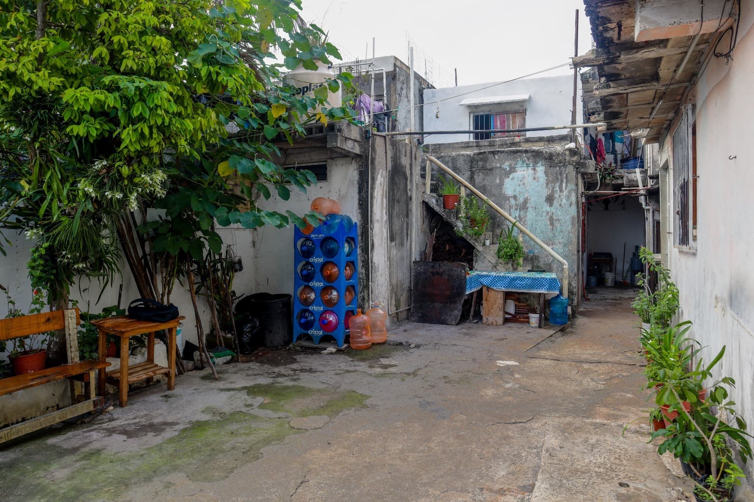 image-5