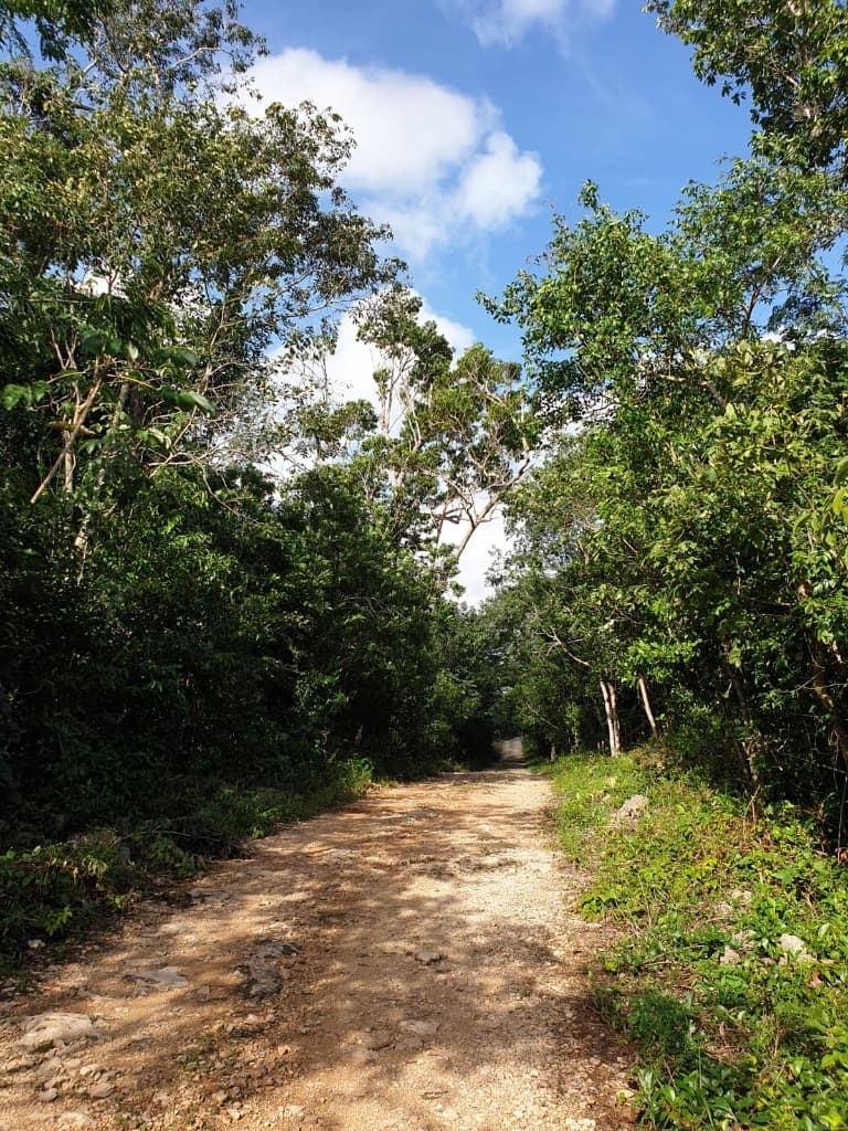 image-0