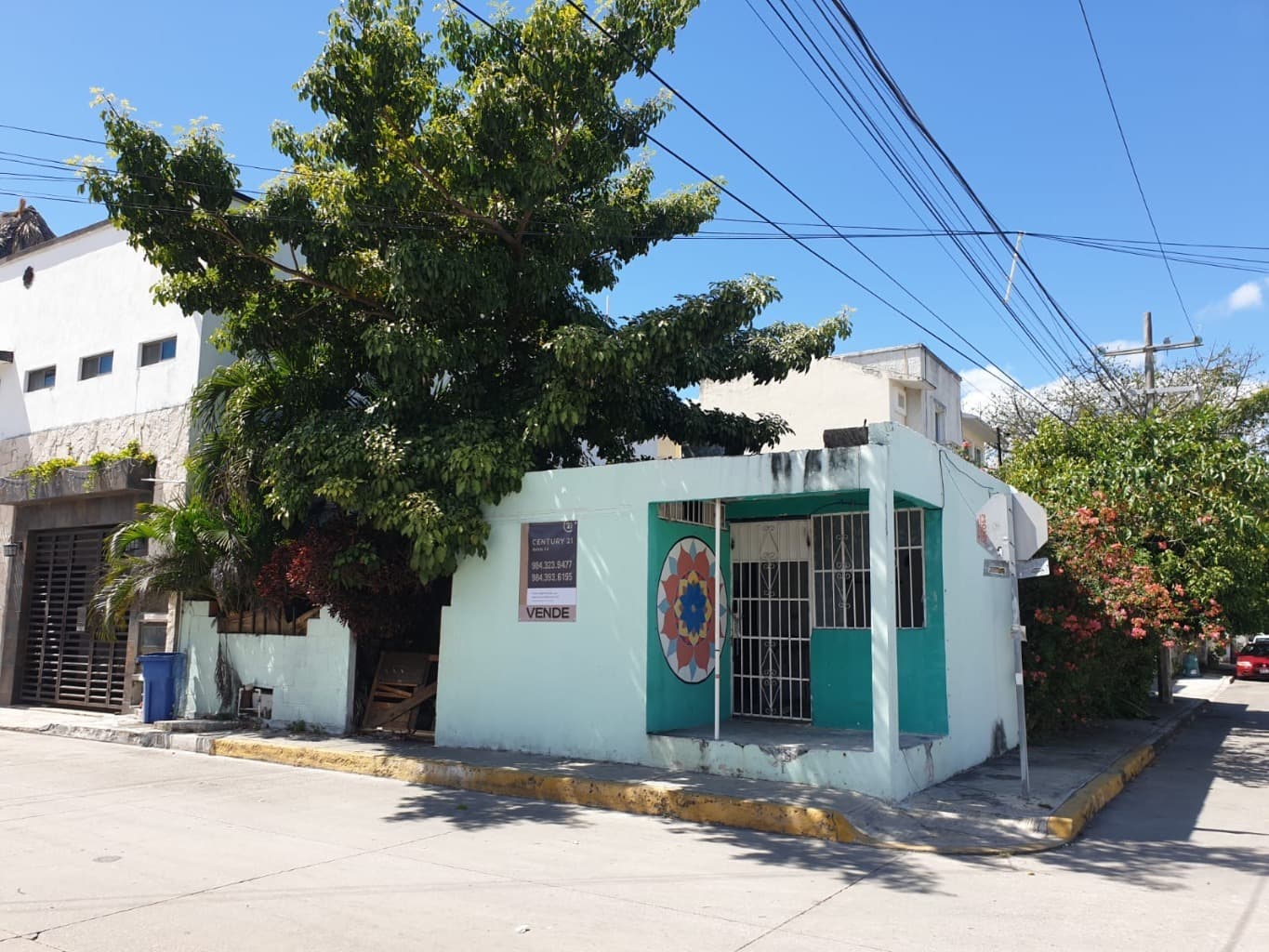 image-11