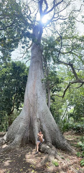image-5
