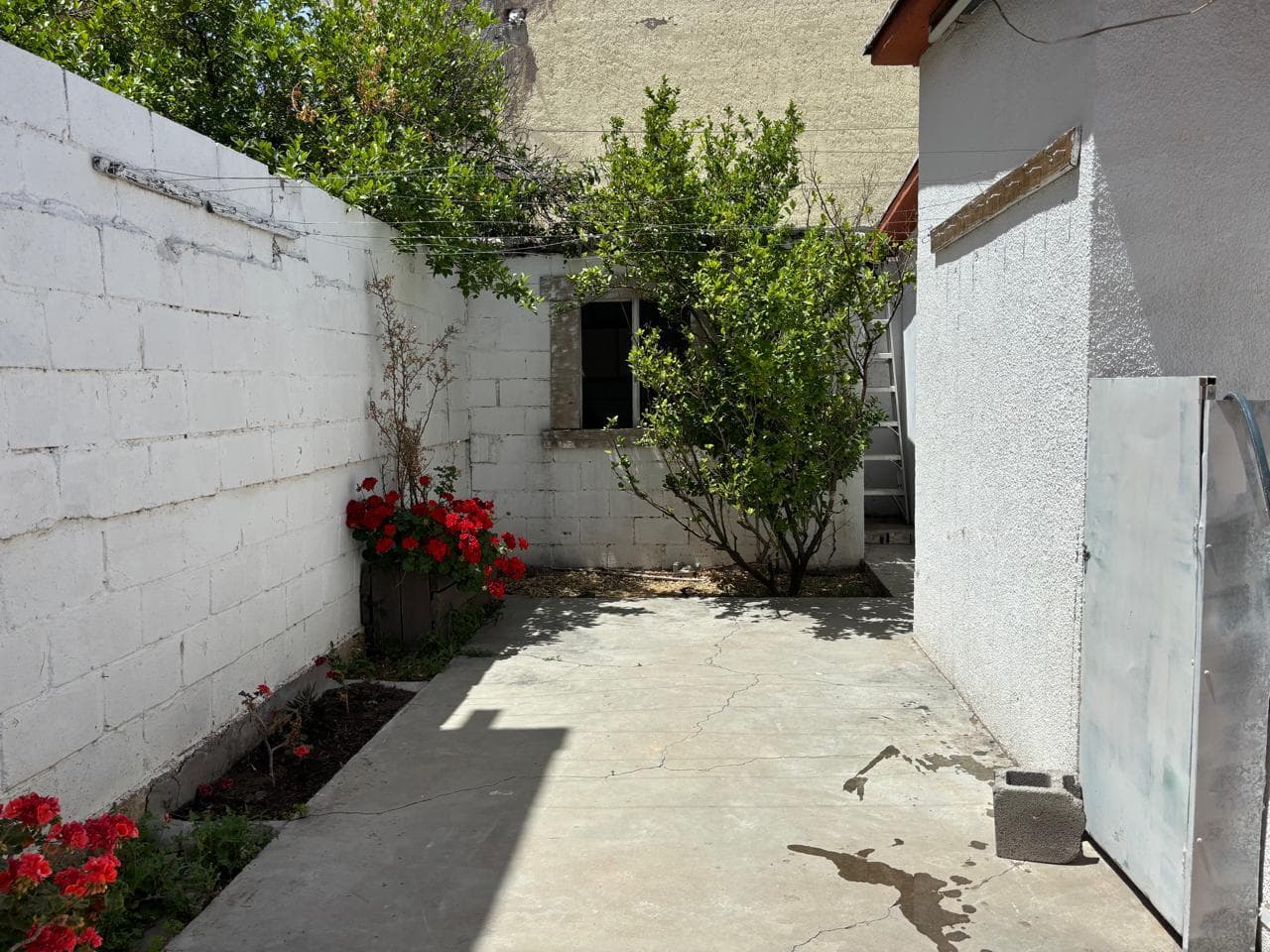 image-18