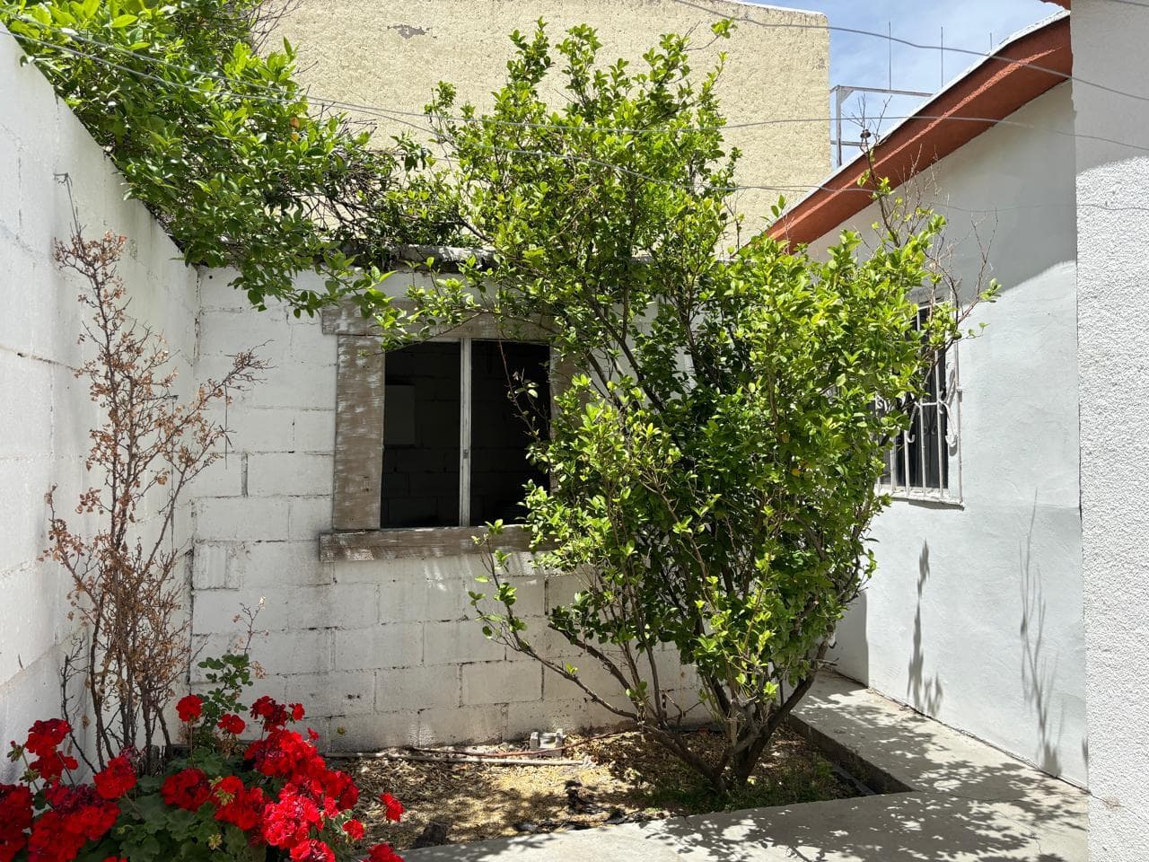 image-17