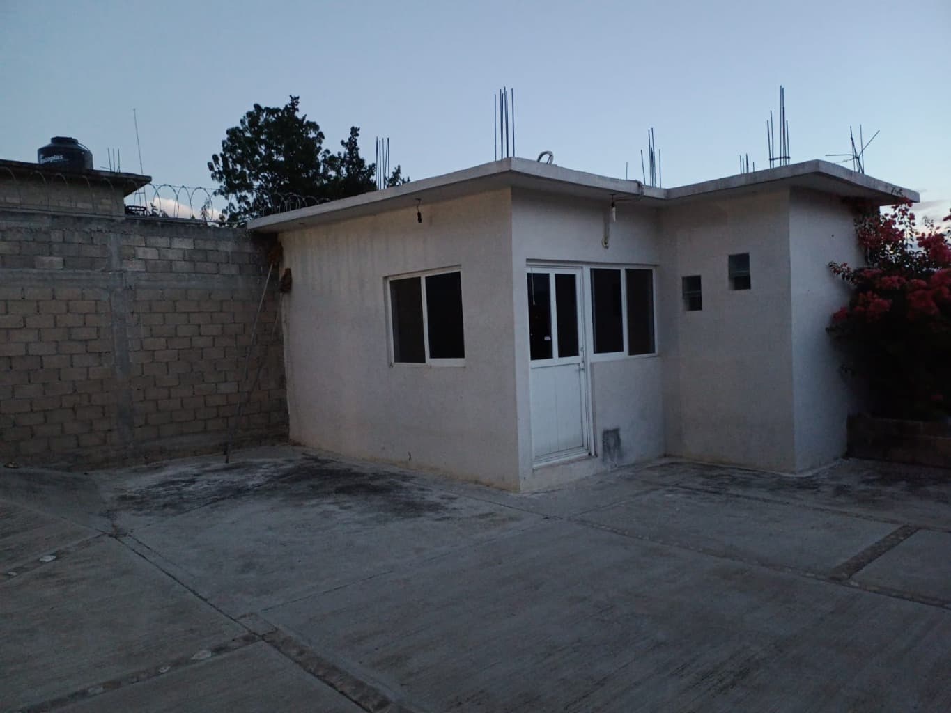 image-7