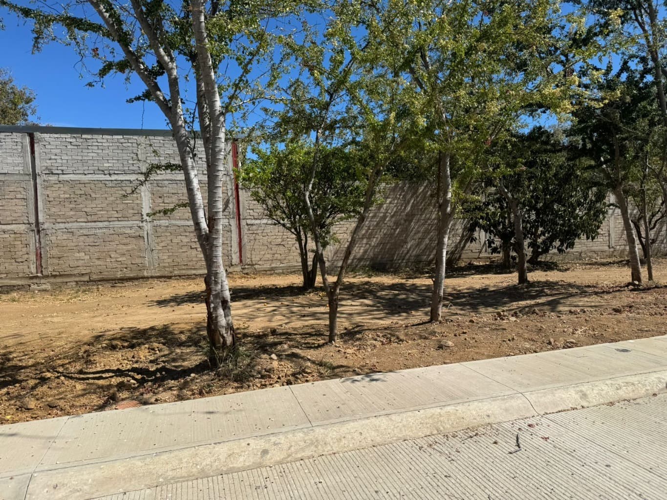 image-4
