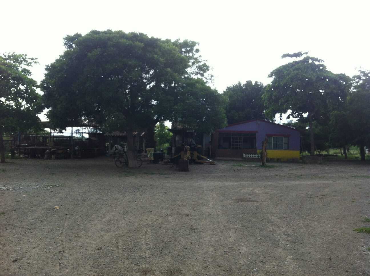 image-5