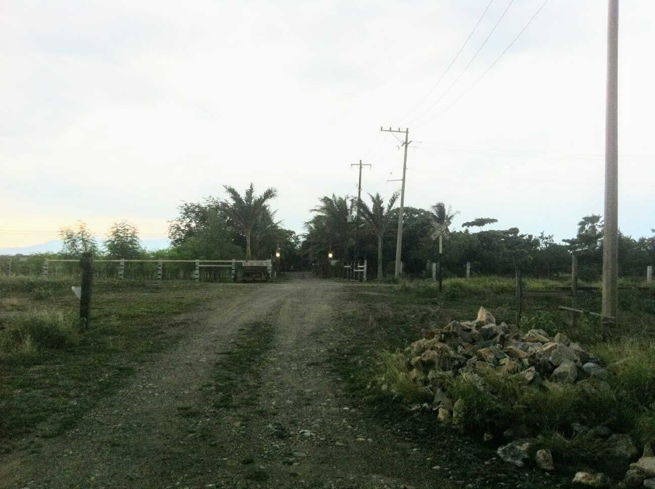 image-2