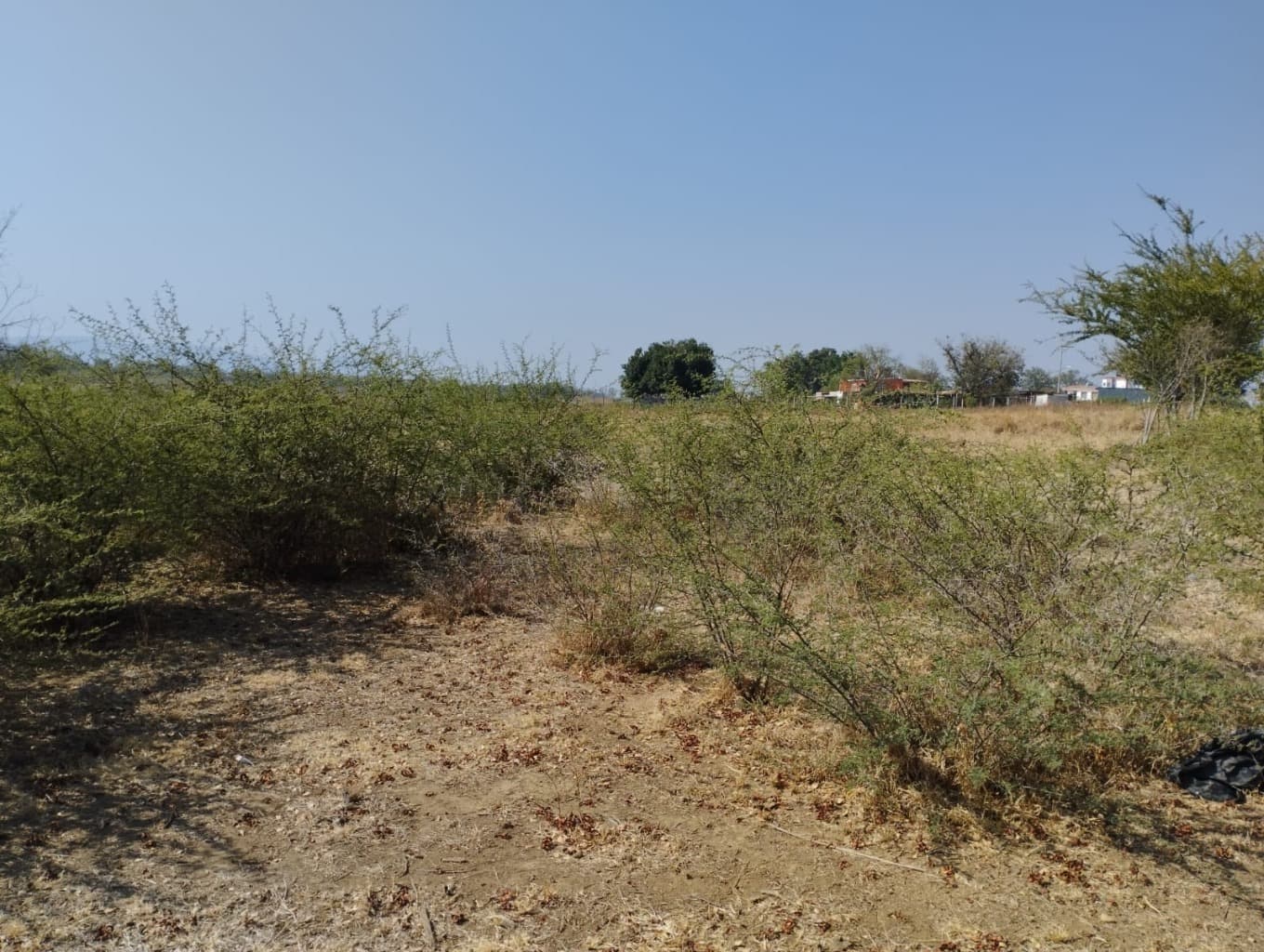 image-6