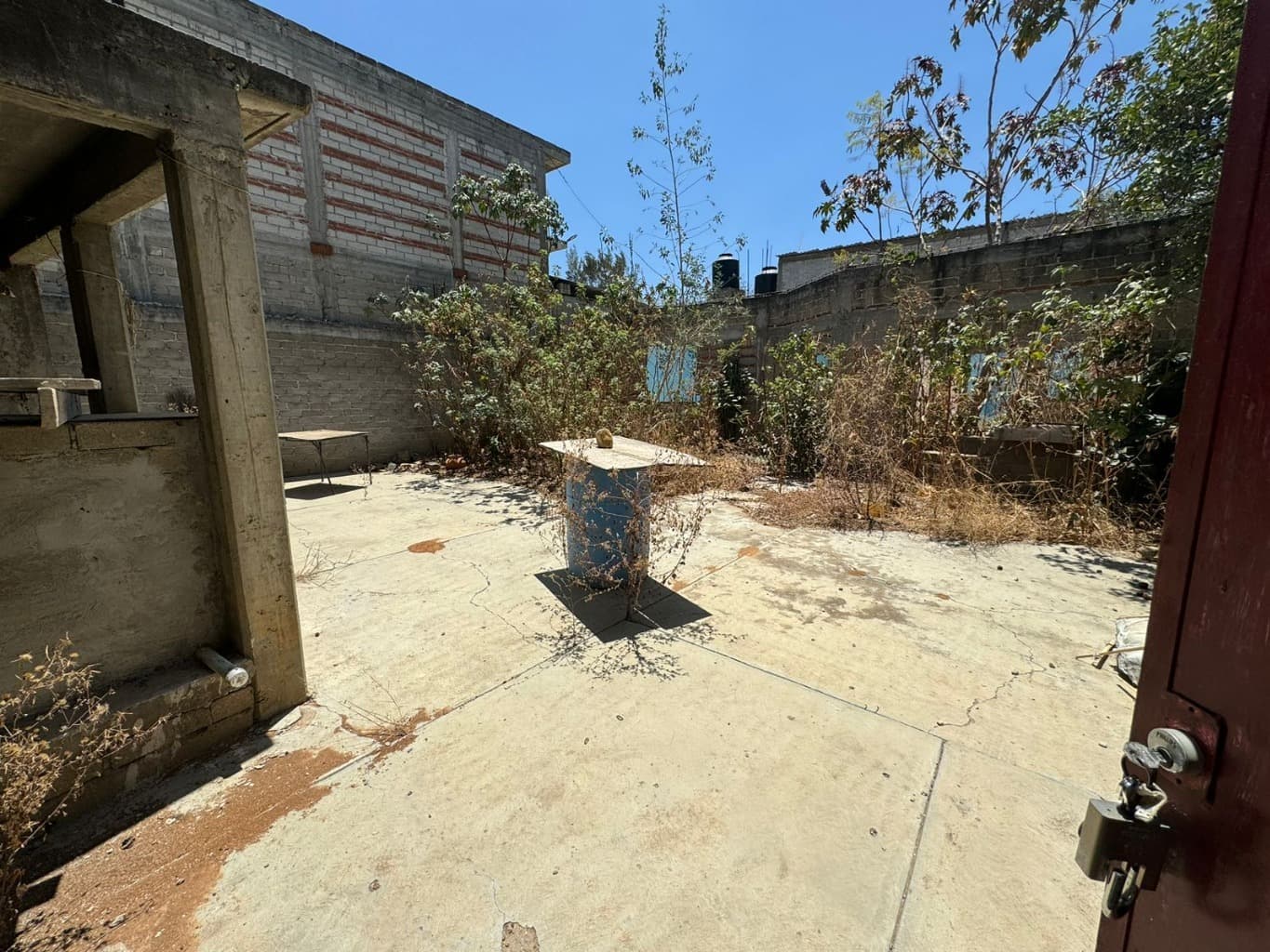 image-6